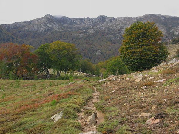 plateau_ghjalgone.jpg