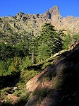paglia_orba.jpg