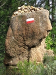 tete_de_maure.jpg