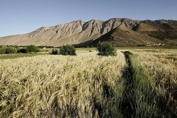 maroc08.jpg