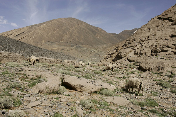 maroc154.jpg