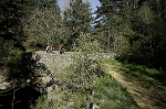 ardeche12.jpg