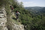 ardeche15.jpg