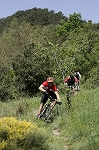 ardeche18.jpg