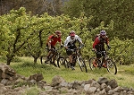 ardeche28.jpg