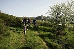 caroux02.jpg