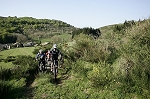 caroux03.jpg