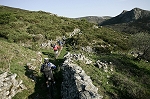 caroux05.jpg