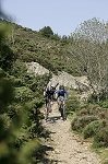 caroux08.jpg