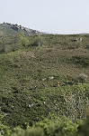 caroux09.jpg