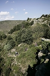 caroux14.jpg