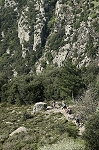 caroux16.jpg
