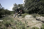 caroux18.jpg