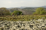 caroux23.jpg