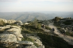 caroux28.jpg