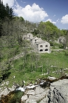 caroux44.jpg