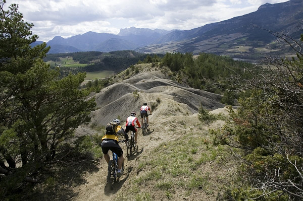 drome002.jpg