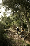 esterel06.jpg