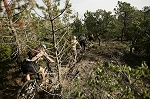 esterel08.jpg