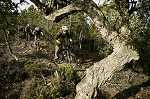 esterel09.jpg