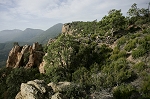 esterel11.jpg