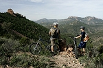 esterel31