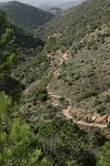 esterel32