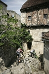 lot03.jpg