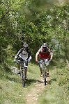 lot04.jpg