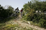 lot09.jpg