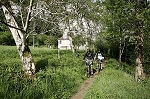 lot20.jpg