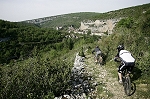 lot23.jpg