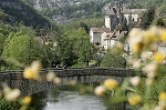 lot25.jpg