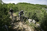 lot28.jpg