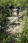 lot29.jpg