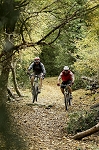 luberon04.jpg