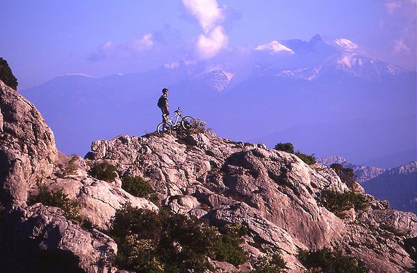galamus.jpg