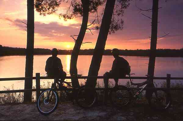 gironde_07.jpg