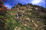 pyrenees_orientales2.jpg