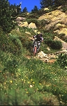 pyrenees_orientales3.jpg